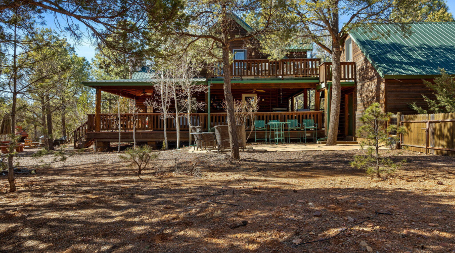 2337PumaCir-HeberOvergaard-AZ-37