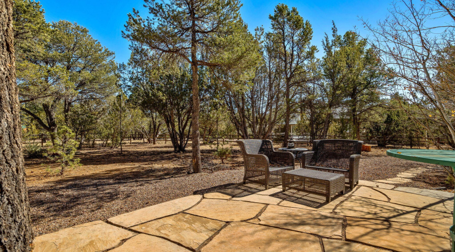 2337PumaCir-HeberOvergaard-AZ-38