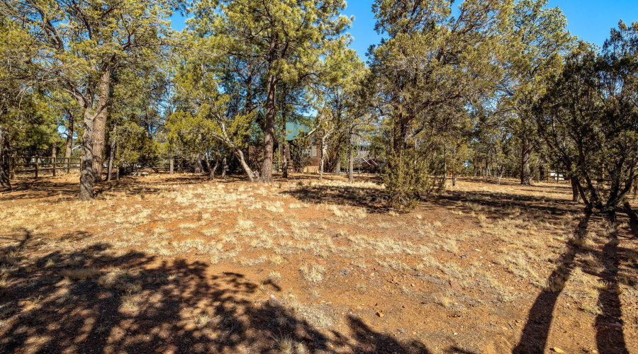 2337PumaCir-HeberOvergaard-AZ-39