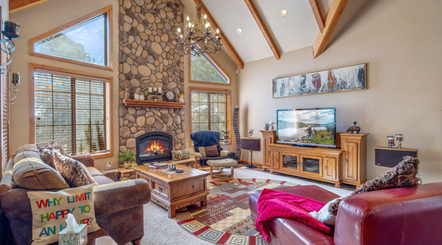 2337PumaCir-HeberOvergaard-AZ-7