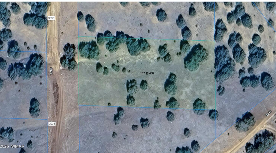 Screenshot 2025-02-12 140446