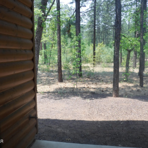 Cabin in Pinetop