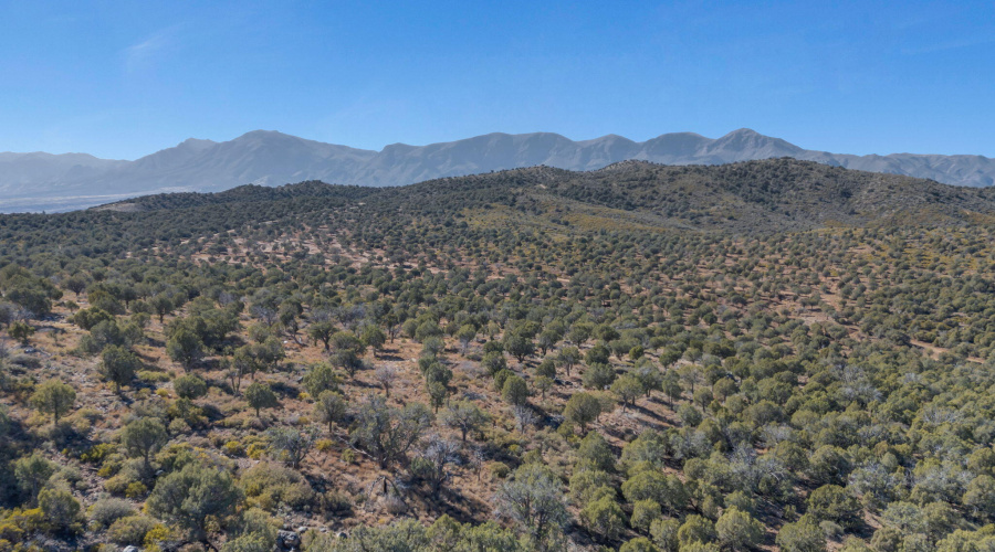 47-web-or-mls-TimberCreekImagery-20