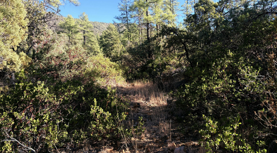 Views of the back of property