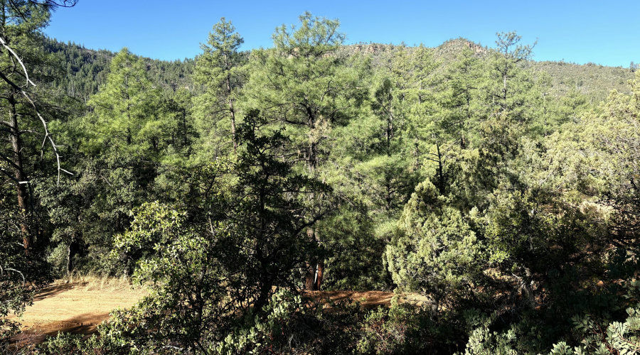 Front of the Property