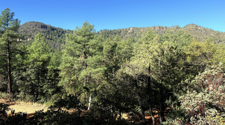 Views of Strawberry Mountain