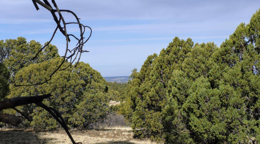 Lot 8 Red Cabin Ranch 18