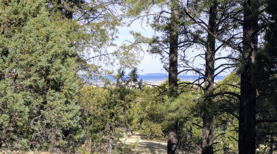 Lot 8 Red Cabin Ranch 19