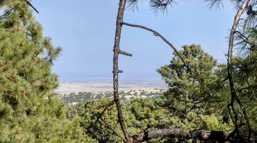 Lot 8 Red Cabin Ranch 21