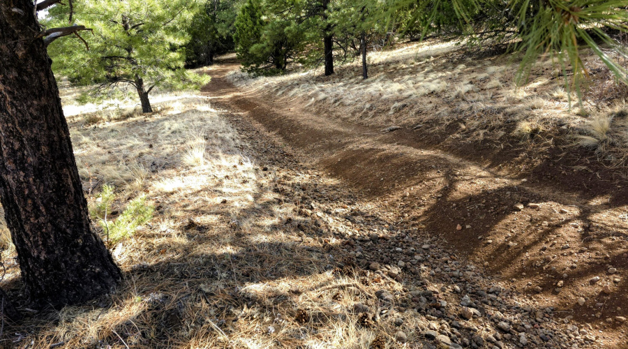 Lot 8 Red Cabin Ranch 10