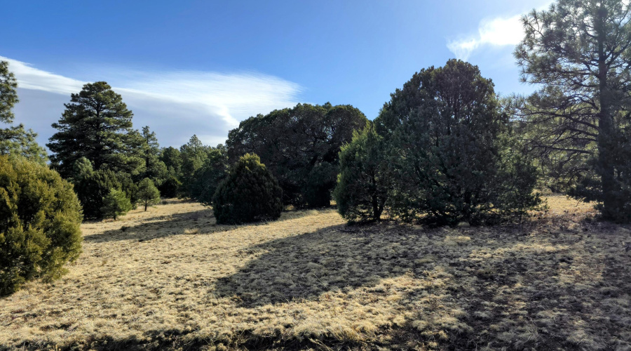 Lot 8 Red Cabin Ranch 3