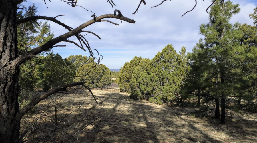 Lot 8 Red Cabin Ranch 17