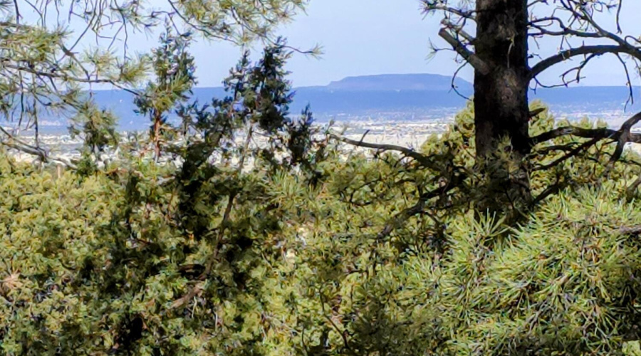 Lot 8 Red Cabin Ranch 20