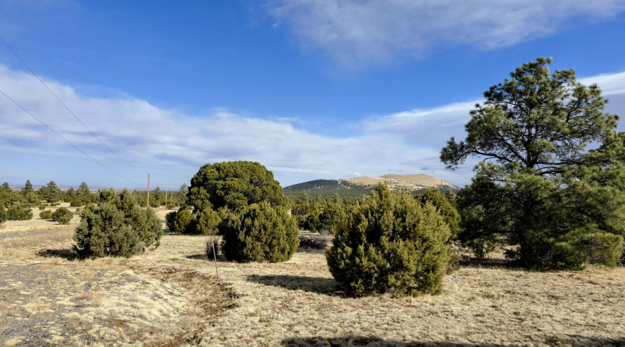 Lot 8 Red Cabin Ranch 4