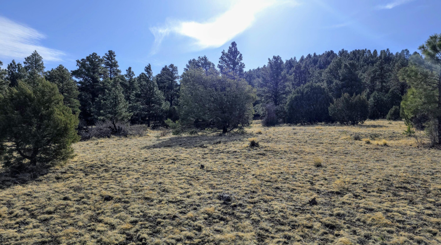 Lot 8 Red Cabin Ranch 6