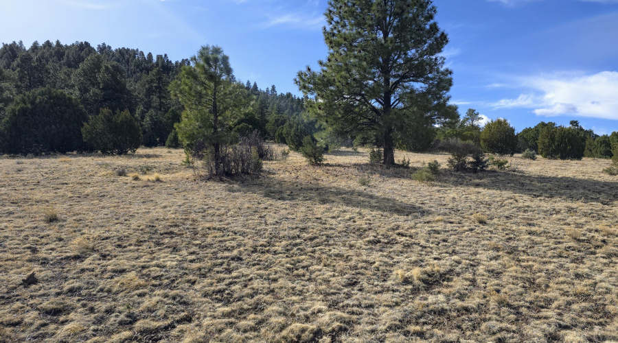 Lot 8 Red Cabin Ranch 7