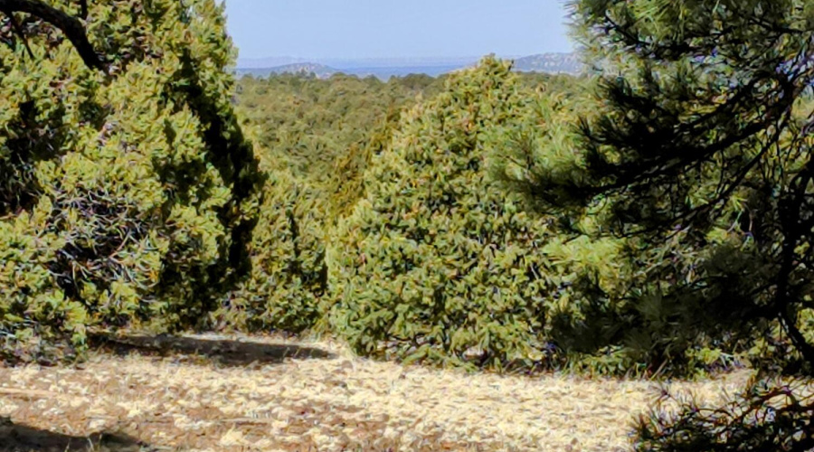 Lot 8 Red Cabin Ranch 22