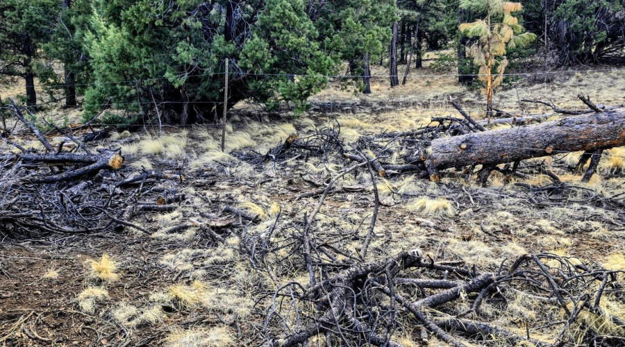 Lot 8 Red Cabin Ranch 24