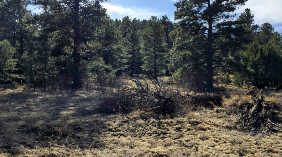 Lot 8 Red Cabin Ranch 33