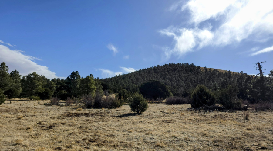 Lot 8 Red Cabin Ranch 34