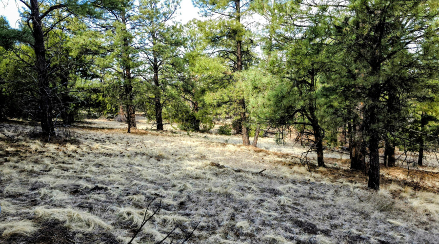 Lot 8 Red Cabin Ranch 30