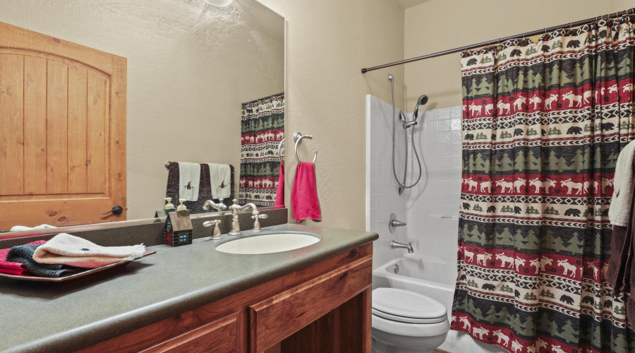 Basement bath handicap accessible