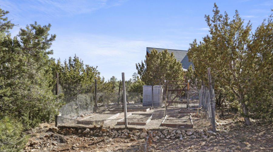 fruit trees and garden area