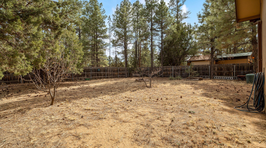 2051LumberValleyRd-Heber-AZ-23