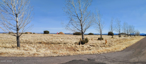 1350 Farmhouse Drive, Taylor, Arizona 85939, ,Land,For Sale,Farmhouse,254351