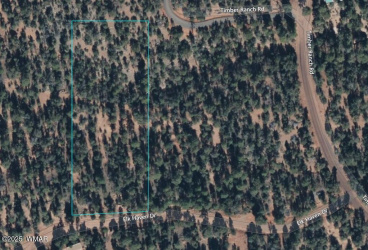 TBD Timber Ranch Road, Show Low, Arizona 85901, ,Land,For Sale,Timber Ranch,254557