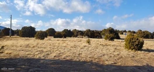 63 County Road 8019, Concho, Arizona 85924, ,Land,For Sale,County Road 8019,254569