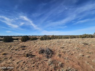 TBD Lot 236 N CR 9234, Concho, Arizona 85924, ,Land,For Sale,Lot 236 N CR 9234,254096