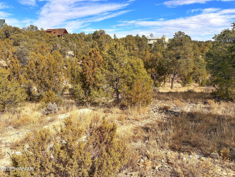 1582 Echo Circle, Heber, Arizona 85928, ,Land,For Sale,Echo,254396