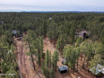 1436 Winter Pine Lane, Lakeside, Arizona 85929, ,Land,For Sale,Winter Pine,254585