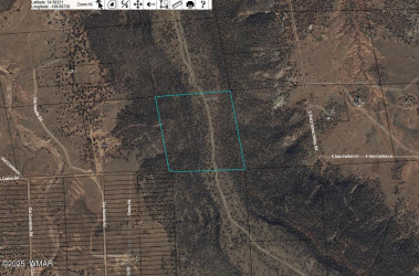 9445 Lois Lane, Snowflake, Arizona 85937, ,Land,For Sale,Lois,254604