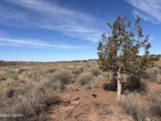 9659 Juniper Berry Trail, Snowflake, Arizona 85937, ,Land,For Sale,Juniper Berry,254596