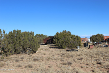 1527 &1535 Chevelon Avenue, Heber, Arizona 85928, ,Land,For Sale,Chevelon,254626