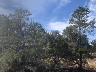 3914 Sunset Rdg Lp, Happy Jack, Arizona 86024, ,Land,For Sale,Sunset Rdg Lp,91698