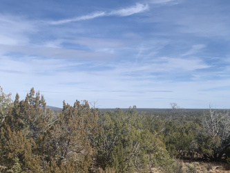 3972 Sunset Rdg Lp, Happy Jack, Arizona 86024, ,Land,For Sale,Sunset Rdg Lp,91699