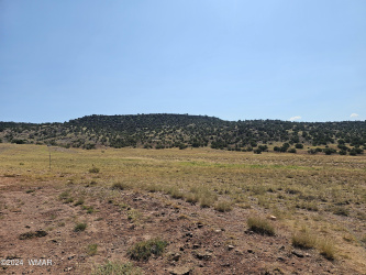 TBD River Springs Ranch, St. Johns, Arizona 85936, ,Land,For Sale,River Springs Ranch,252936