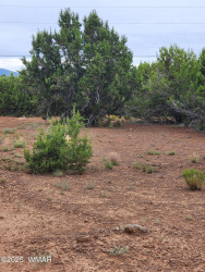 Lot 4 CR 3551, Vernon, Arizona 85940, ,Land,For Sale,CR 3551,254694