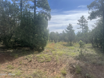 5481 Red Squirrel Lane, Lakeside, Arizona 85929, ,Land,For Sale,Red Squirrel,252122