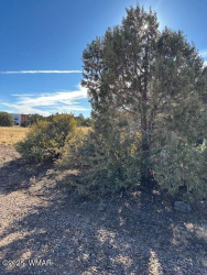 8413 Navajo Drive, Show Low, Arizona 85901, ,Land,For Sale,Navajo,254093