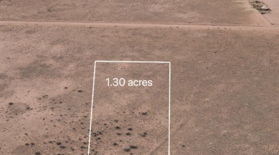 Screenshot 2025-03-06 at 11.54.24AM