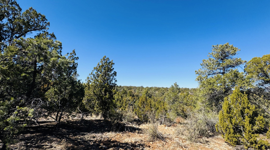 great views from back