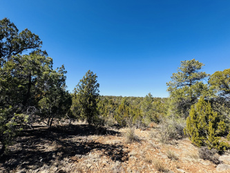 4108 Sunset Rdg Lp, Happy Jack, Arizona 86024, ,Land,For Sale,Sunset Rdg Lp,91723