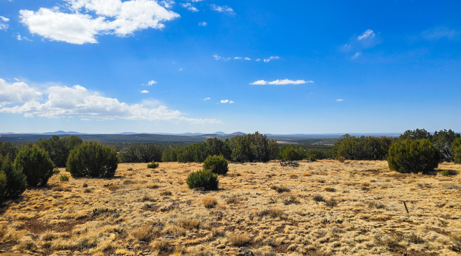 View of the Mountains