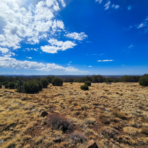 Beautiful land with views for days