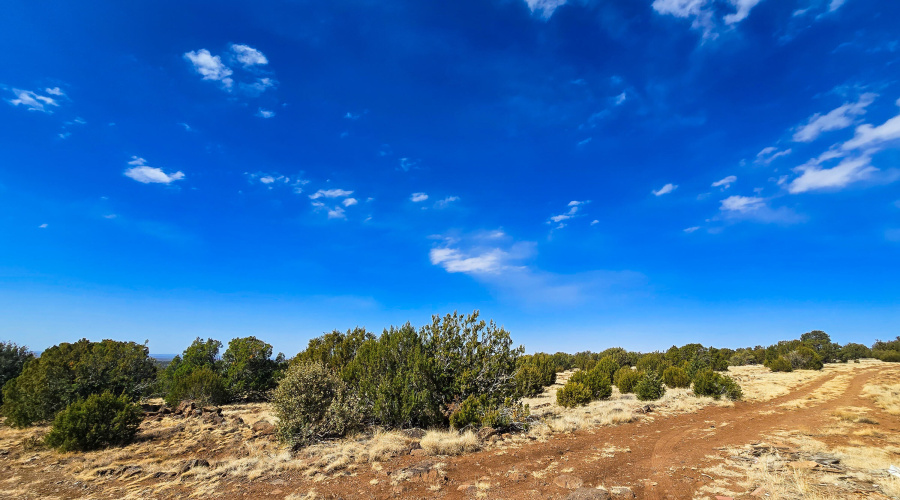 CR8060/8118 Corner View of Property
