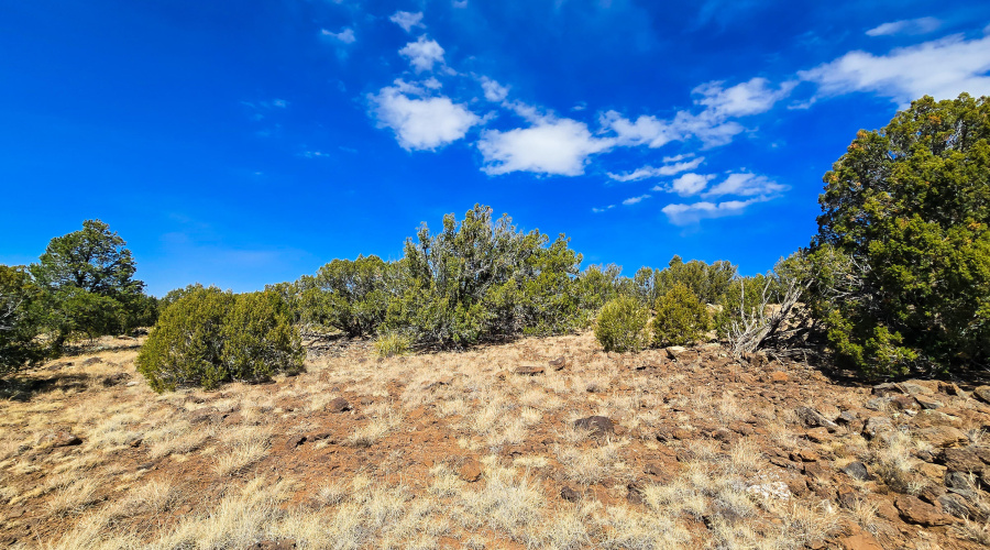 Hillside with Skyline